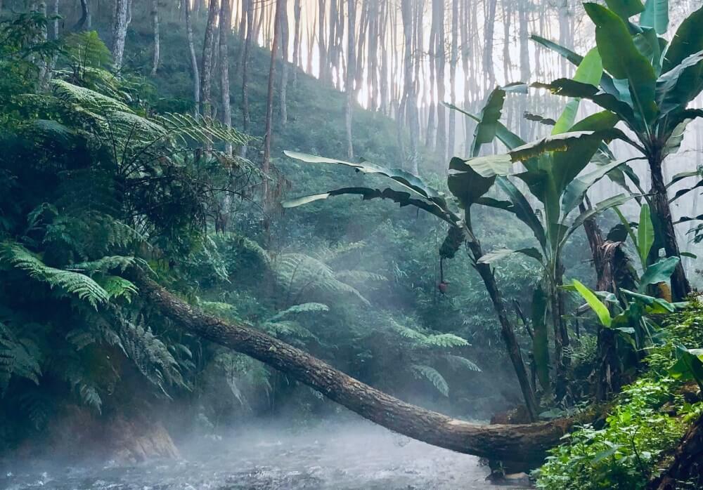 In all things of nature there is something of the marvelous