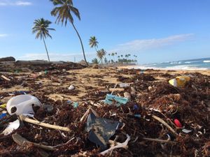 New tech innovation for low cost ocean cleanup